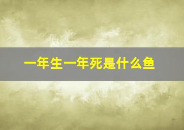 一年生一年死是什么鱼