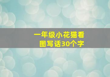 一年级小花猫看图写话30个字