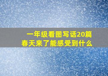 一年级看图写话20篇春天来了能感受到什么