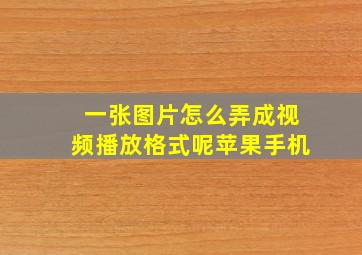 一张图片怎么弄成视频播放格式呢苹果手机