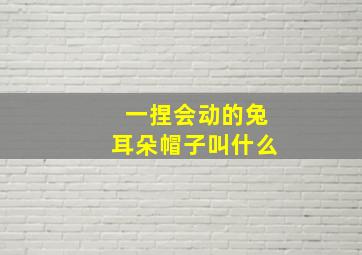 一捏会动的兔耳朵帽子叫什么