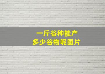 一斤谷种能产多少谷物呢图片