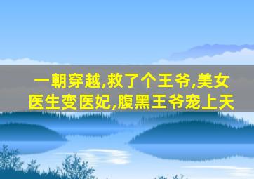 一朝穿越,救了个王爷,美女医生变医妃,腹黑王爷宠上天