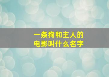 一条狗和主人的电影叫什么名字