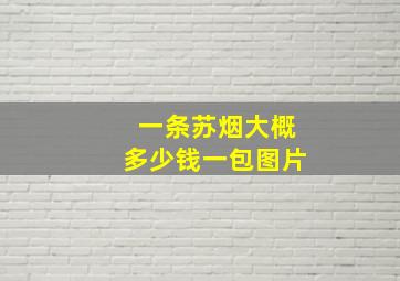 一条苏烟大概多少钱一包图片