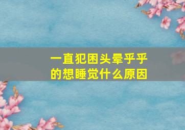 一直犯困头晕乎乎的想睡觉什么原因