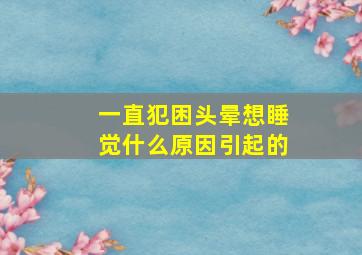 一直犯困头晕想睡觉什么原因引起的