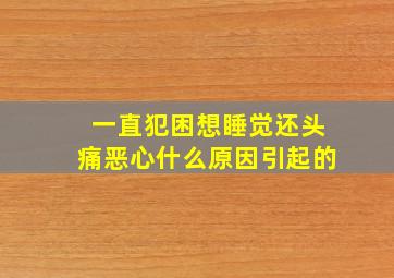 一直犯困想睡觉还头痛恶心什么原因引起的