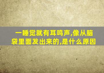 一睡觉就有耳鸣声,像从脑袋里面发出来的,是什么原因