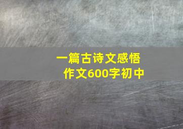 一篇古诗文感悟作文600字初中