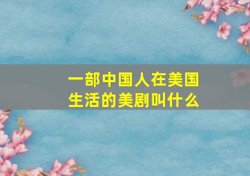 一部中国人在美国生活的美剧叫什么