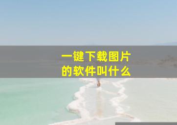 一键下载图片的软件叫什么