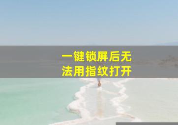 一键锁屏后无法用指纹打开