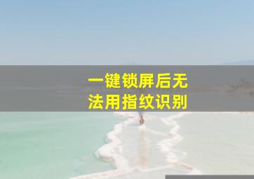 一键锁屏后无法用指纹识别