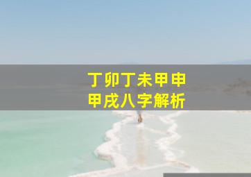 丁卯丁未甲申甲戌八字解析