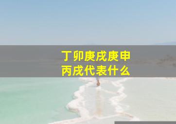 丁卯庚戌庚申丙戌代表什么