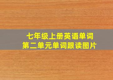 七年级上册英语单词第二单元单词跟读图片