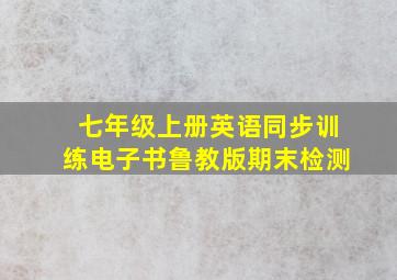 七年级上册英语同步训练电子书鲁教版期末检测