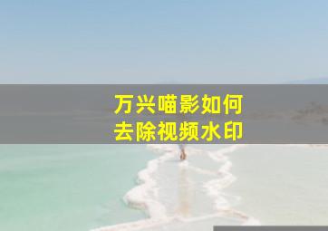 万兴喵影如何去除视频水印