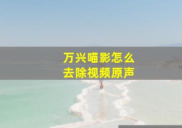 万兴喵影怎么去除视频原声