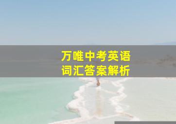 万唯中考英语词汇答案解析