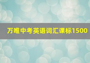 万唯中考英语词汇课标1500