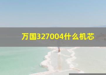 万国327004什么机芯