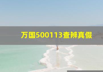 万国500113查辨真假