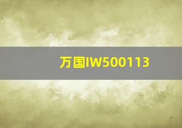 万国IW500113