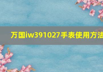 万国iw391027手表使用方法