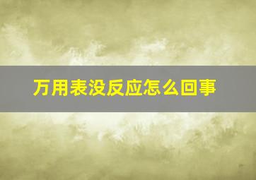 万用表没反应怎么回事