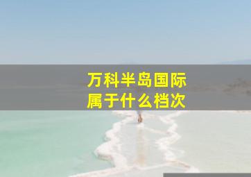 万科半岛国际属于什么档次