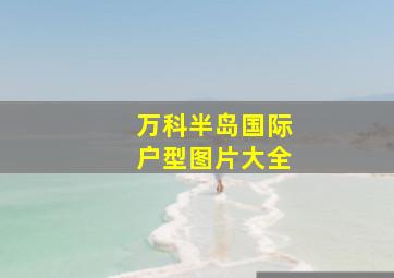 万科半岛国际户型图片大全