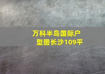 万科半岛国际户型图长沙109平