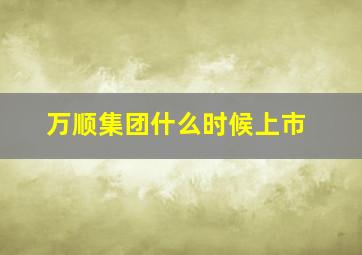 万顺集团什么时候上市