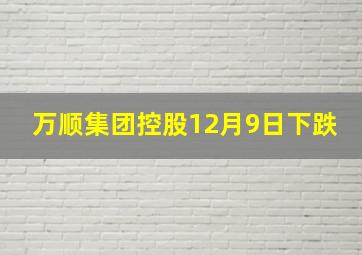 万顺集团控股12月9日下跌