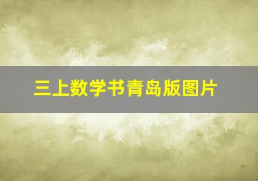 三上数学书青岛版图片