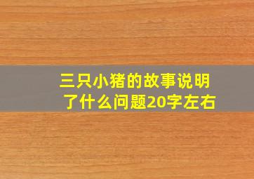 三只小猪的故事说明了什么问题20字左右