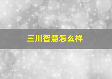 三川智慧怎么样