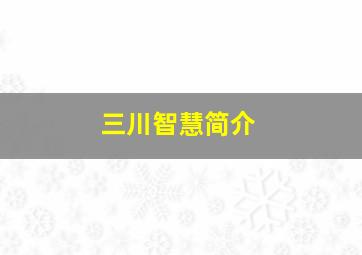 三川智慧简介