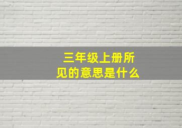 三年级上册所见的意思是什么