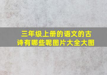 三年级上册的语文的古诗有哪些呢图片大全大图