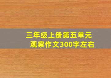 三年级上册第五单元观察作文300字左右