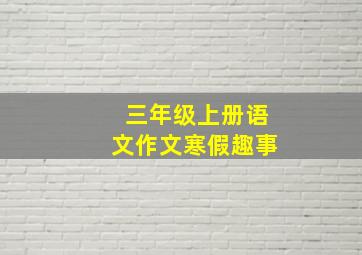 三年级上册语文作文寒假趣事