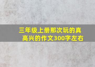 三年级上册那次玩的真高兴的作文300字左右