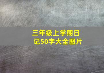 三年级上学期日记50字大全图片