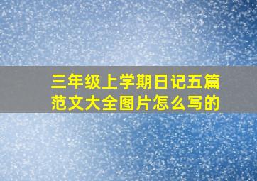 三年级上学期日记五篇范文大全图片怎么写的