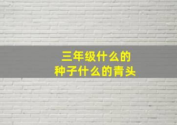 三年级什么的种子什么的青头