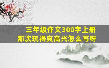 三年级作文300字上册那次玩得真高兴怎么写呀