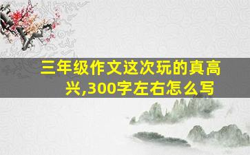 三年级作文这次玩的真高兴,300字左右怎么写